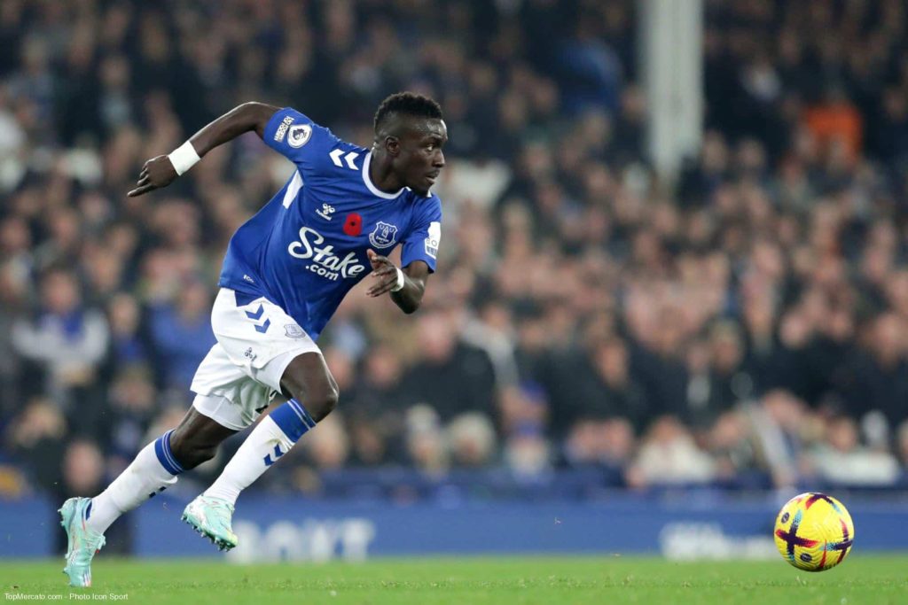 Premier League Everton dIdrissa Gueye soffre un précieux succès