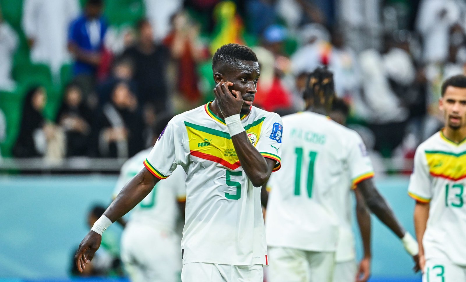 Idrissa Gana GUEYE of Senegal during the FIFA World Cup 2022, group a match between Qatar and Senegal at Al Thumama Stadium on November 25, 2022 in Doha, Qatar. (Photo by Anthony Dibon/Icon Sport)